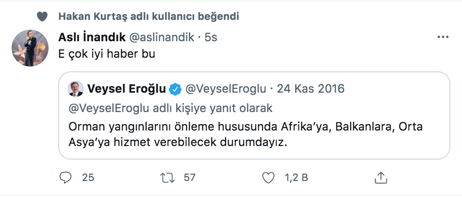 asli inandik tan veysel eroglu ile orman yangini gondermesi